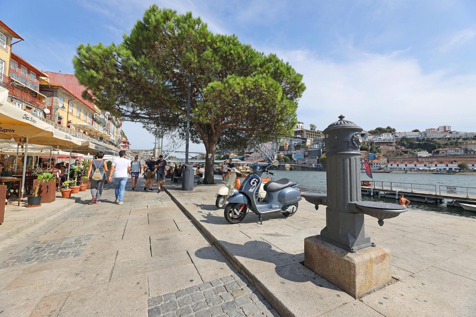 Apartment Flh Boavista Woody Flats Porto
